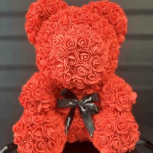 Oso Rojo Teddy